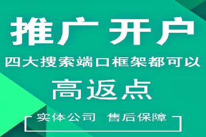 SEM推广实战：案例分析及效果评估